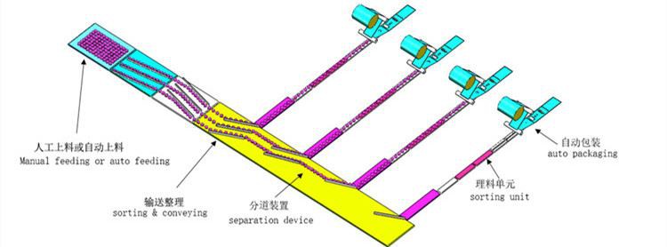 automatic feeding and tray loading packaging line machinery manufacturer