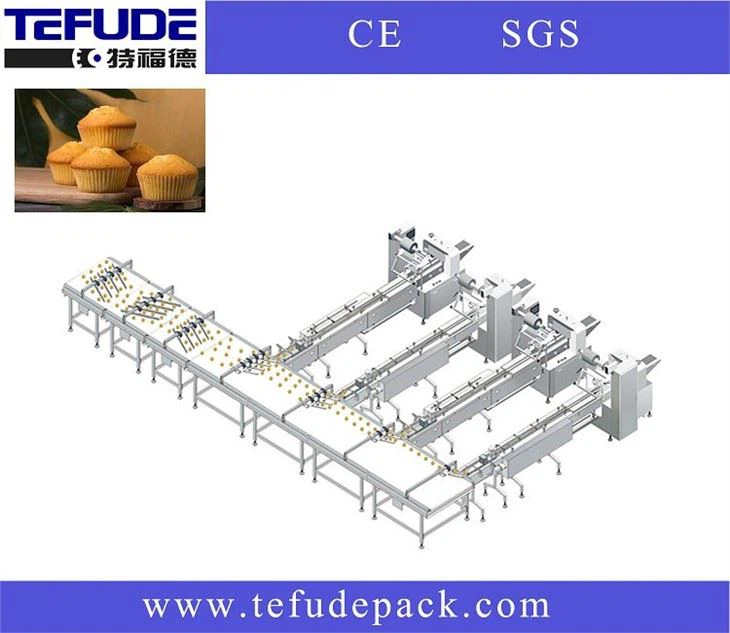 Automatic Feeding And Packing Line Packaging Line Machine For Foods